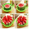 Stainless Steel Cantaloupe Fruit Divider